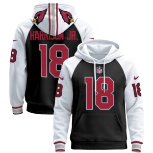 Men's Arizona Cardinals 2024 Pullover Hoodie - All Stitched