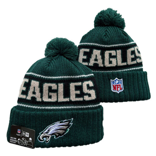 Philadelphia Eagles Knit Hat (Beanie) Collection - All Stitched - Image 8