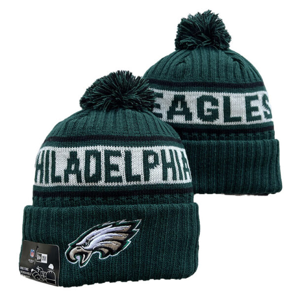 Philadelphia Eagles Knit Hat (Beanie) Collection - All Stitched - Image 9
