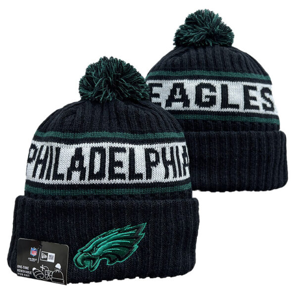 Philadelphia Eagles Knit Hat (Beanie) Collection - All Stitched - Image 10